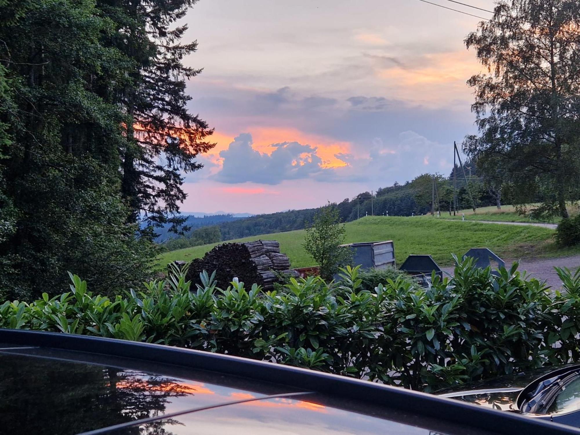 Hotel Ferien Im Schwarzwald Freiamt Exterior foto