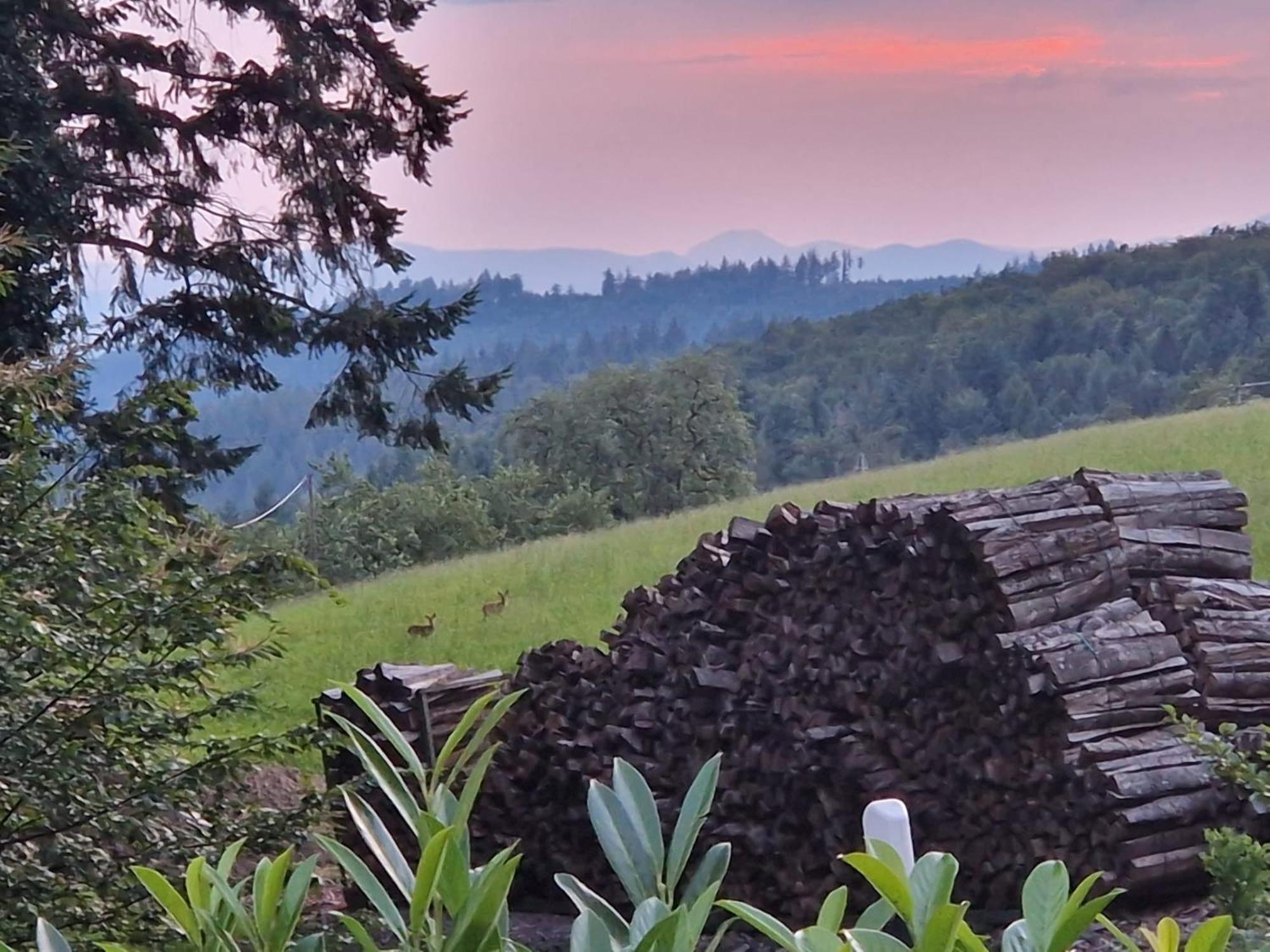Hotel Ferien Im Schwarzwald Freiamt Exterior foto