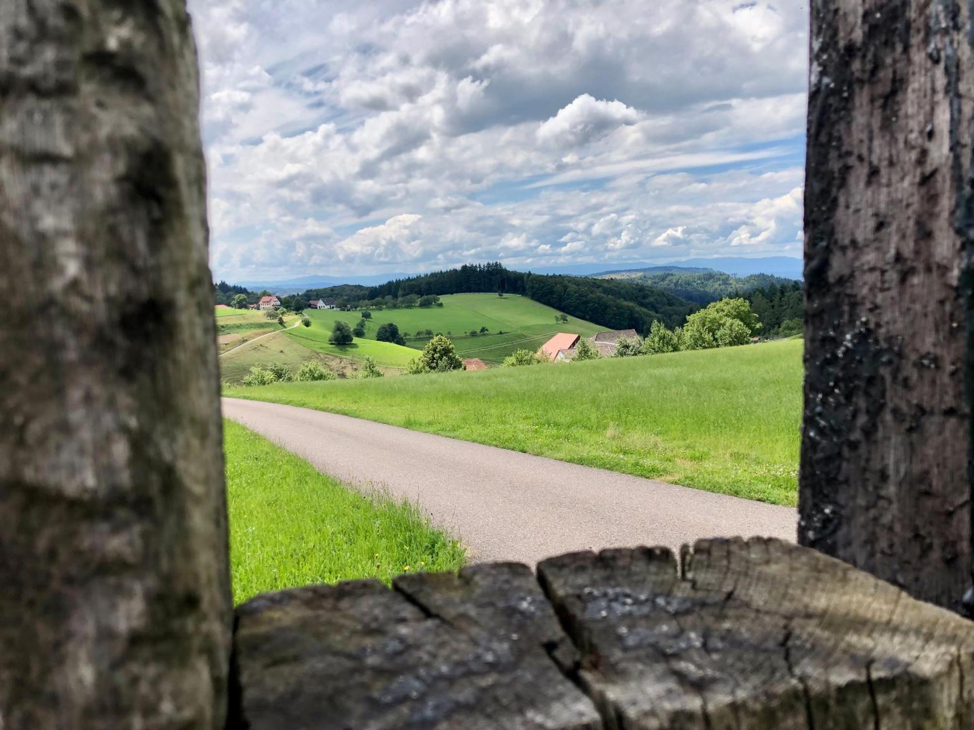 Hotel Ferien Im Schwarzwald Freiamt Exterior foto