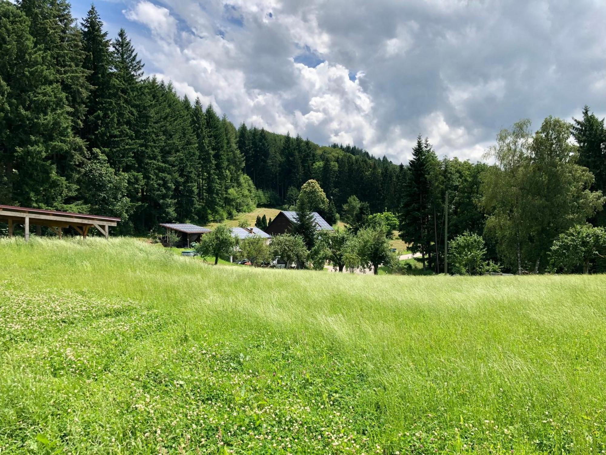 Hotel Ferien Im Schwarzwald Freiamt Exterior foto