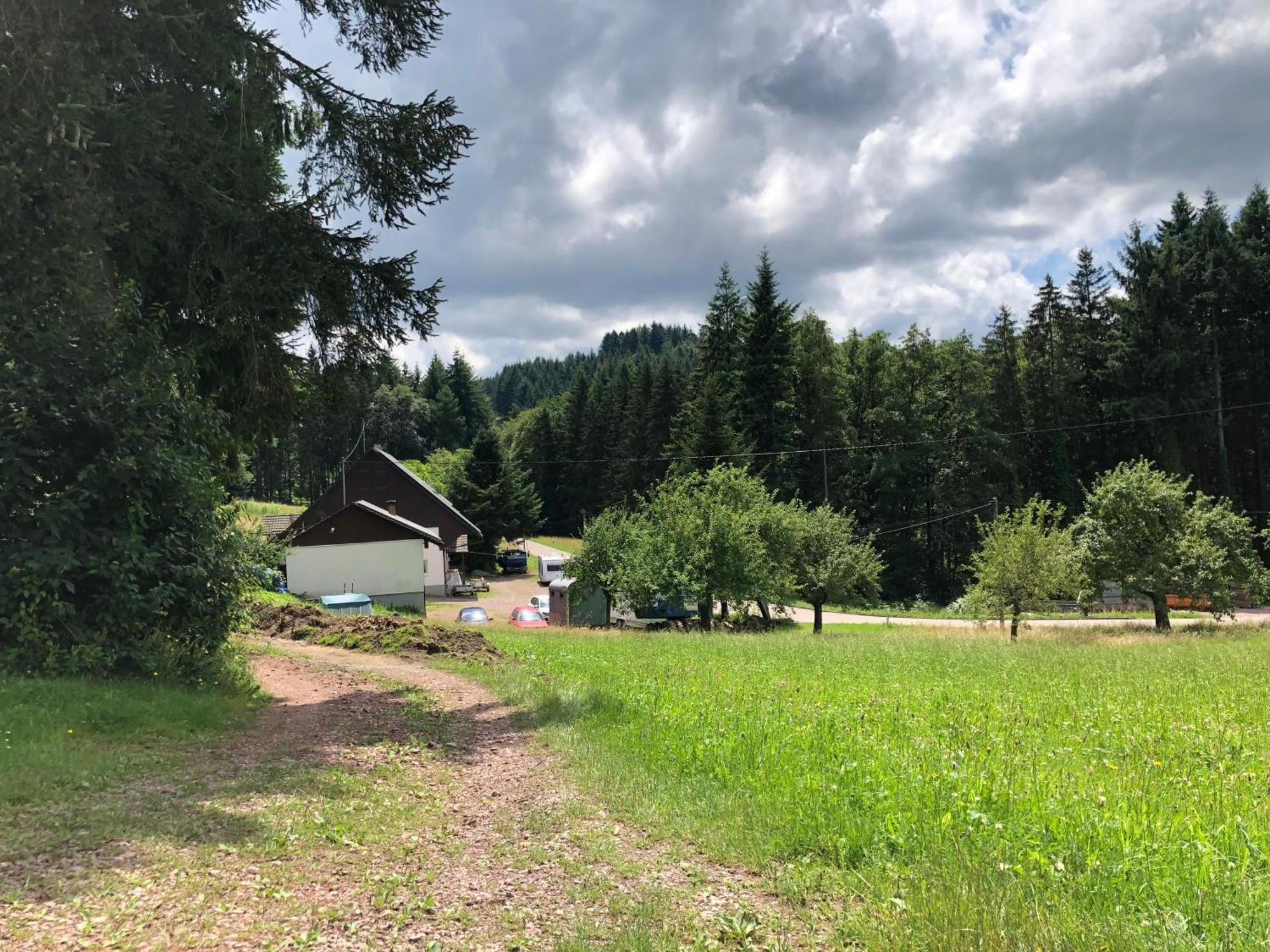 Hotel Ferien Im Schwarzwald Freiamt Exterior foto