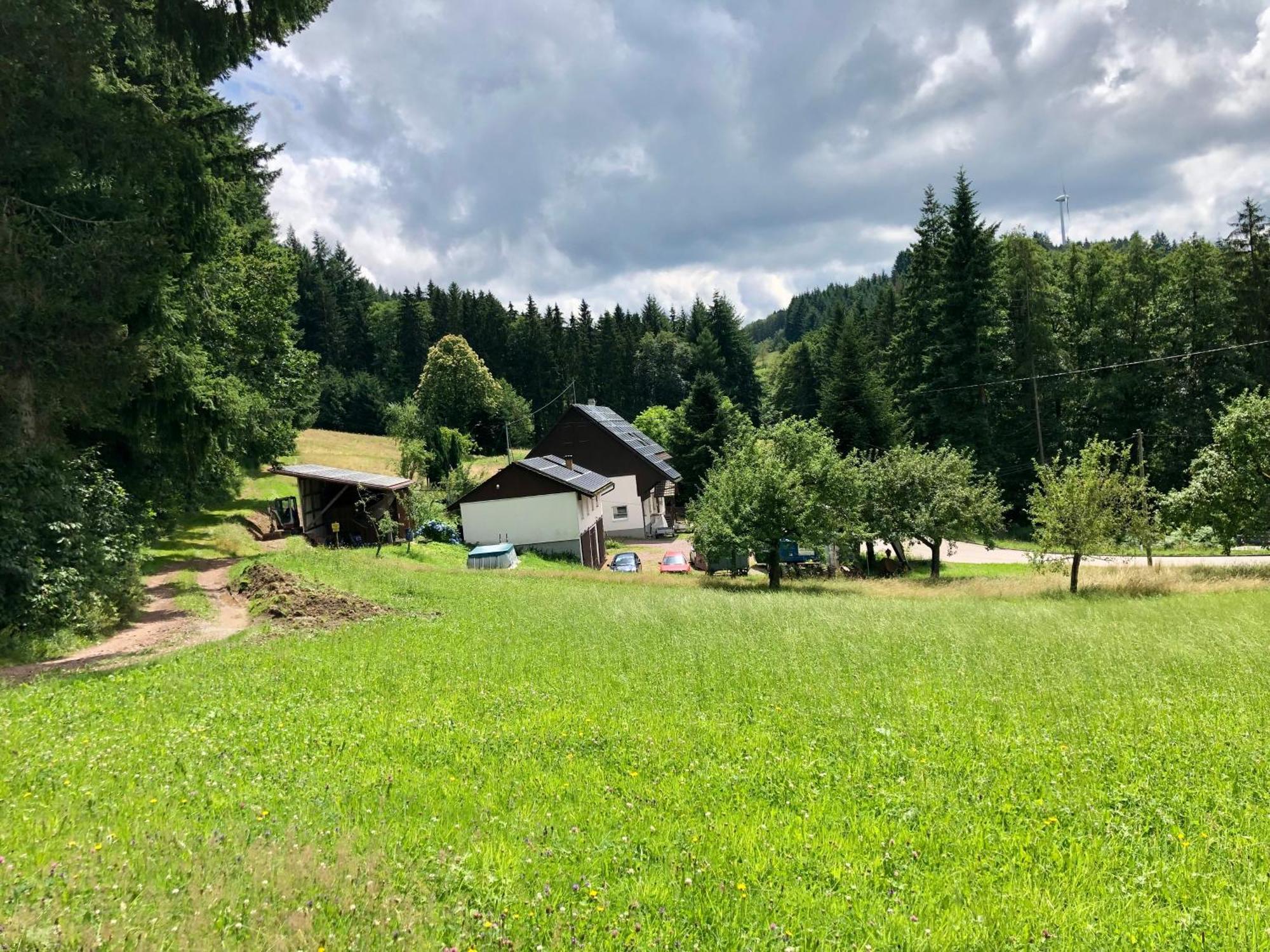 Hotel Ferien Im Schwarzwald Freiamt Exterior foto