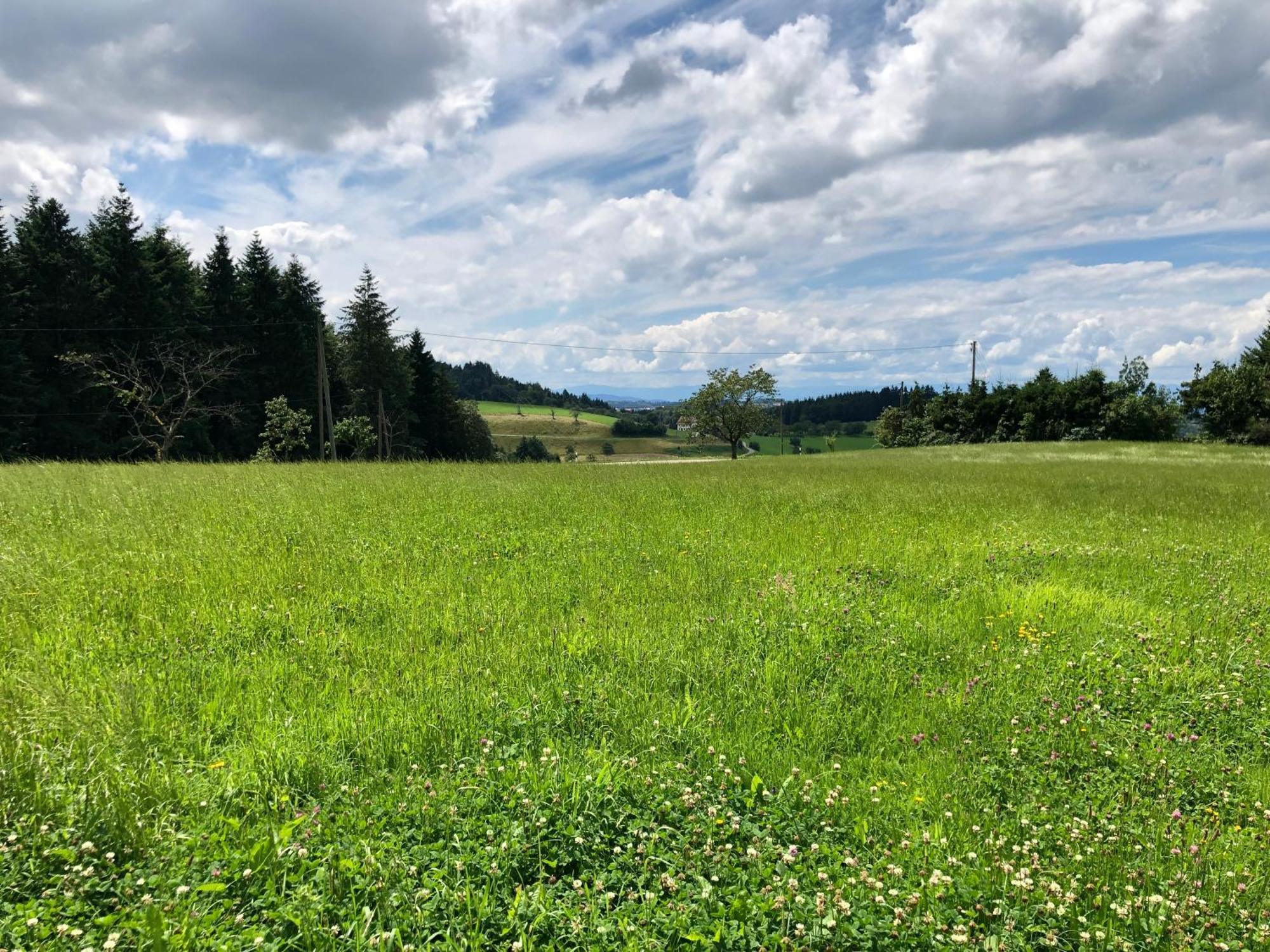 Hotel Ferien Im Schwarzwald Freiamt Exterior foto