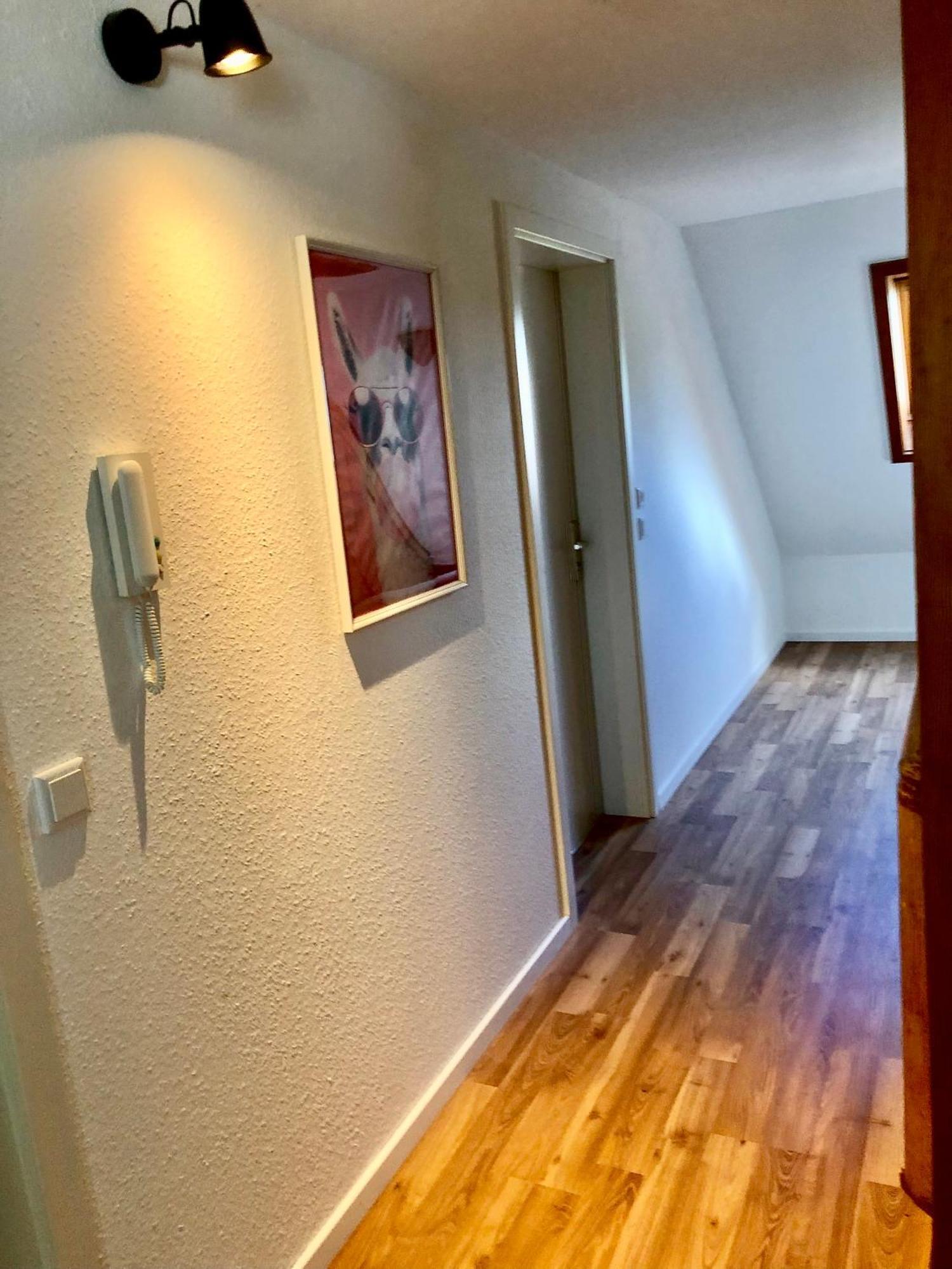 Hotel Ferien Im Schwarzwald Freiamt Exterior foto